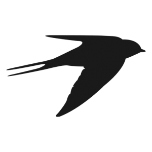 Swallow PNG-67320